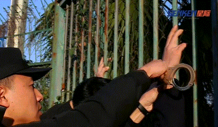 1559093434357163.gif 1559093434357163.gif