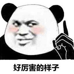 1560563277392449.jpg 厉害2.jpg