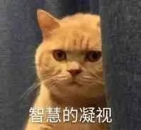 1612314819761576.jpg 640.webp (6).jpg