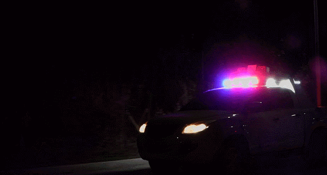 1618214788886153.gif 15.gif