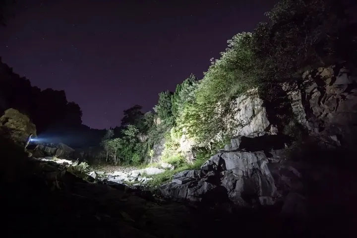 1625218491769408.jpg 1625218491769408.jpg