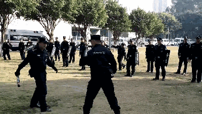 1628061444136733.gif 640.gif